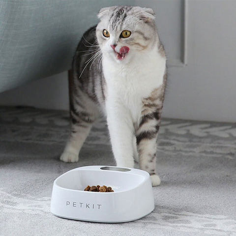 PETKIT Slow Feeding Smartbowl Weighing Pet Food Bowl