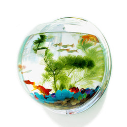 Acrylic Fish Bowl Wall Mount Aquarium Tank