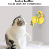 Rotatable Windmill Cat Toy